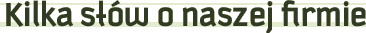 Kilka s��w o naszej firmie